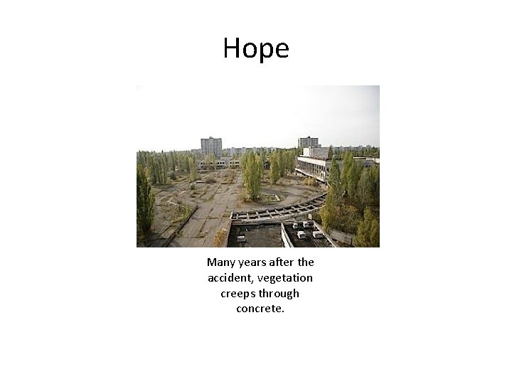 Hope Many years after the accident, vegetation creeps through concrete. 