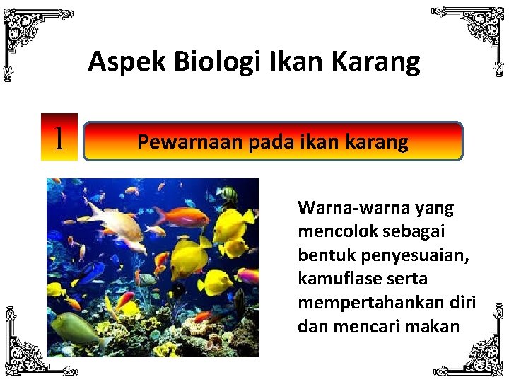 Aspek Biologi Ikan Karang 1 Pewarnaan pada ikan karang Warna-warna yang mencolok sebagai bentuk