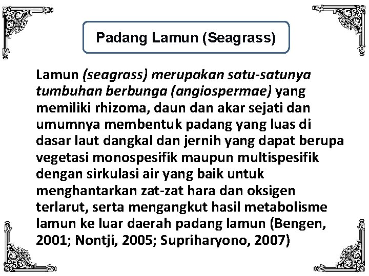 Padang Lamun (Seagrass) Lamun (seagrass) merupakan satu-satunya tumbuhan berbunga (angiospermae) yang memiliki rhizoma, daun