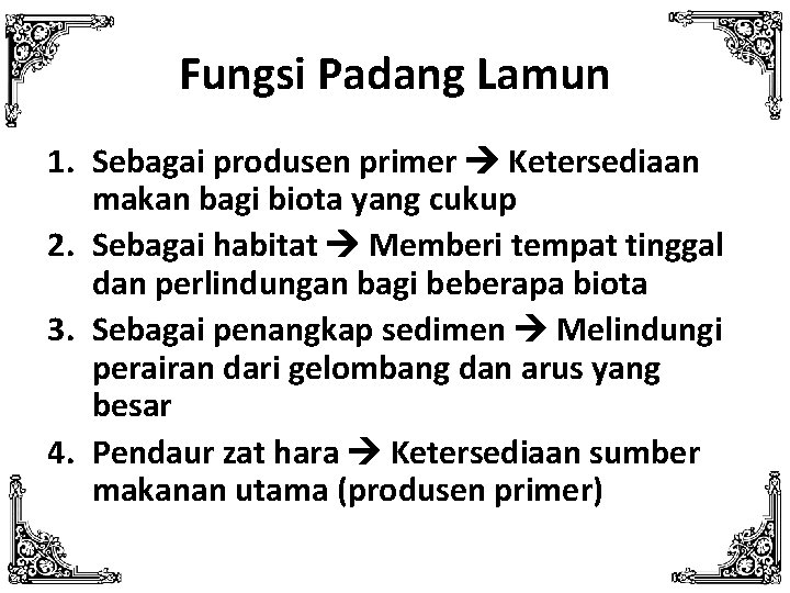 Fungsi Padang Lamun 1. Sebagai produsen primer Ketersediaan makan bagi biota yang cukup 2.