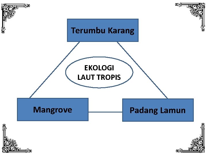 Terumbu Karang EKOLOGI LAUT TROPIS Mangrove Padang Lamun 