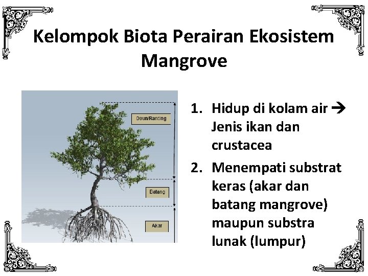 Kelompok Biota Perairan Ekosistem Mangrove 1. Hidup di kolam air Jenis ikan dan crustacea