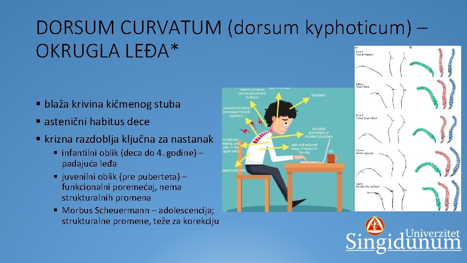 DORSUM CURVATUM (dorsum kyphoticum) – OKRUGLA LEĐA* § blaža krivina kičmenog stuba § astenični