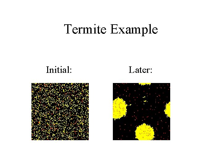 Termite Example Initial: Later: 