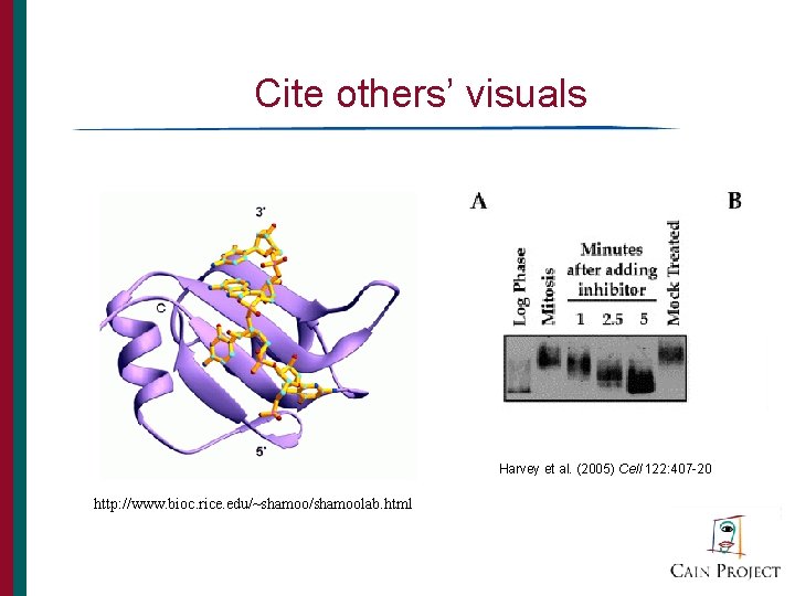 Cite others’ visuals Harvey et al. (2005) Cell 122: 407 -20 http: //www. bioc.