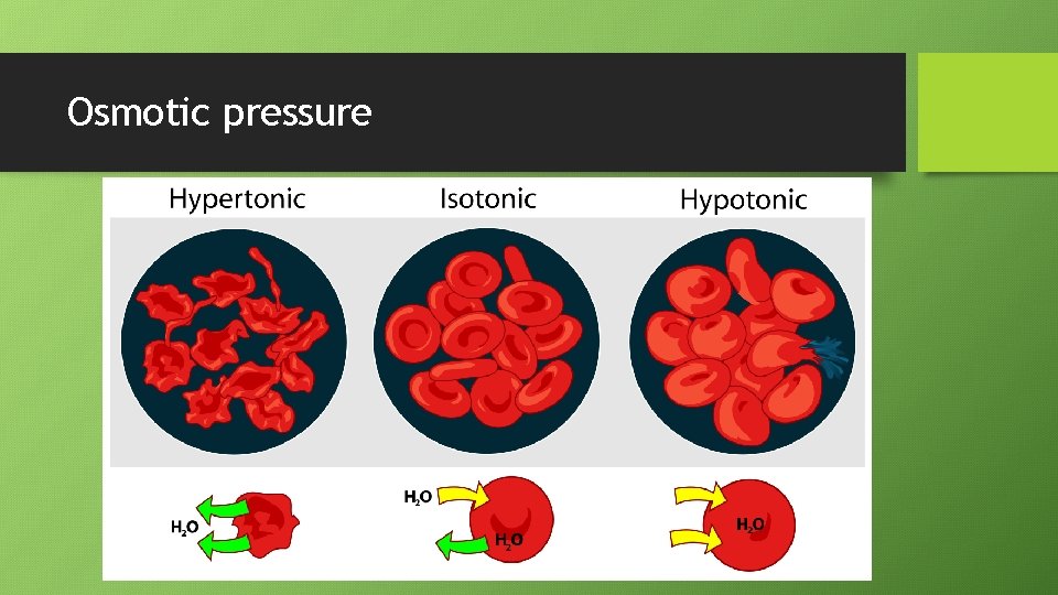 Osmotic pressure 