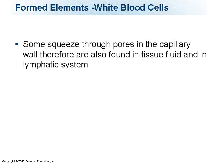 Formed Elements -White Blood Cells § Some squeeze through pores in the capillary wall