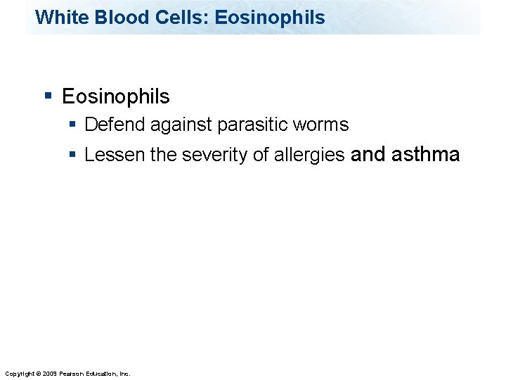 White Blood Cells: Eosinophils § Defend against parasitic worms § Lessen the severity of