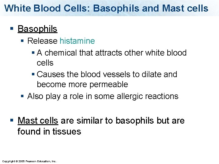 White Blood Cells: Basophils and Mast cells § Basophils § Release histamine § A