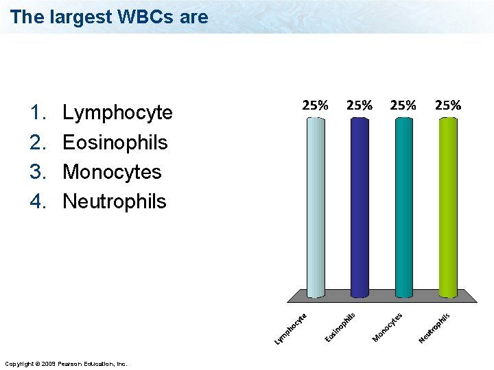 The largest WBCs are 1. 2. 3. 4. Lymphocyte Eosinophils Monocytes Neutrophils Copyright ©