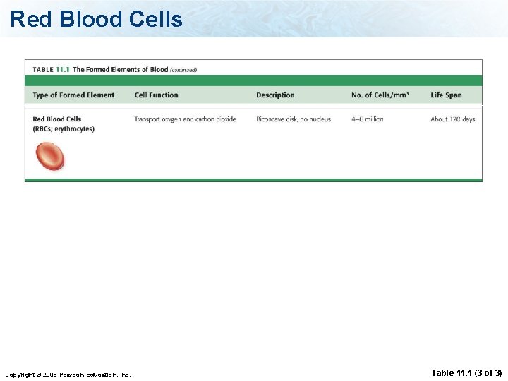 Red Blood Cells Copyright © 2009 Pearson Education, Inc. Table 11. 1 (3 of