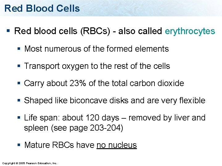 Red Blood Cells § Red blood cells (RBCs) - also called erythrocytes § Most