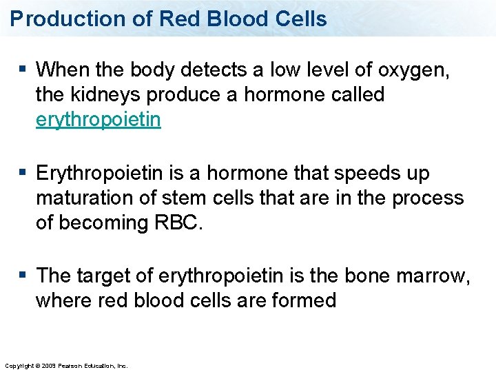 Production of Red Blood Cells § When the body detects a low level of