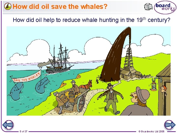 How did oil save the whales? How did oil help to reduce whale hunting
