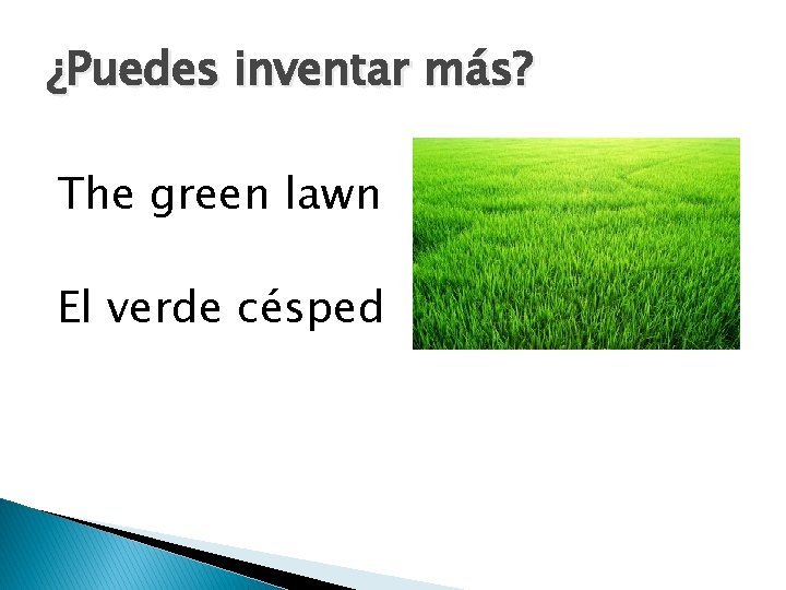 ¿Puedes inventar más? The green lawn El verde césped 