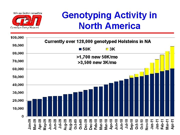 Genotyping Activity in North America Currently over 128, 000 genotyped Holsteins in NA >1,