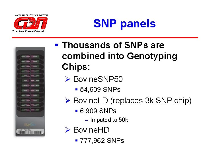 SNP panels § Thousands of SNPs are combined into Genotyping Chips: Ø Bovine. SNP