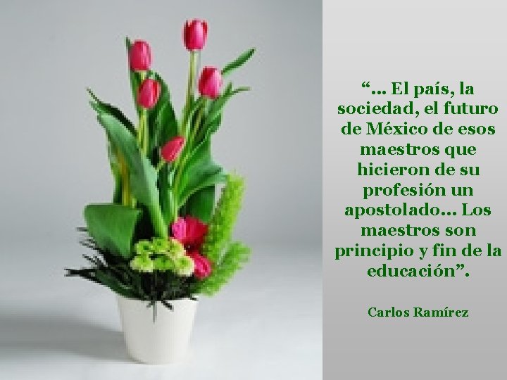 “. . . El país, la sociedad, el futuro de México de esos maestros