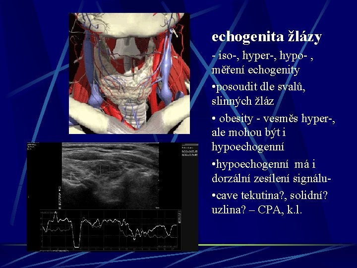 echogenita žlázy - iso-, hyper-, hypo- , měření echogenity • posoudit dle svalů, slinných