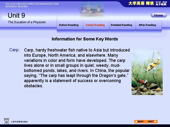 Before Reading Global Reading Detailed Reading Information for Some Key Words Carp: Carp, hardy