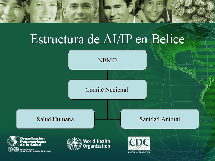 Estructura de AI/IP en Belice NEMO Comité Nacional Salud Humana Sanidad Animal 