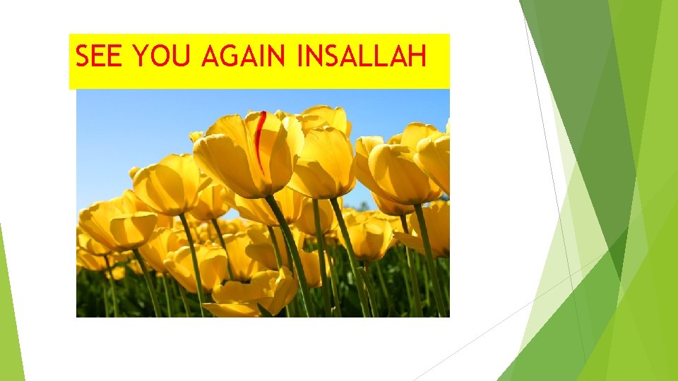 SEE YOU AGAIN INSALLAH 