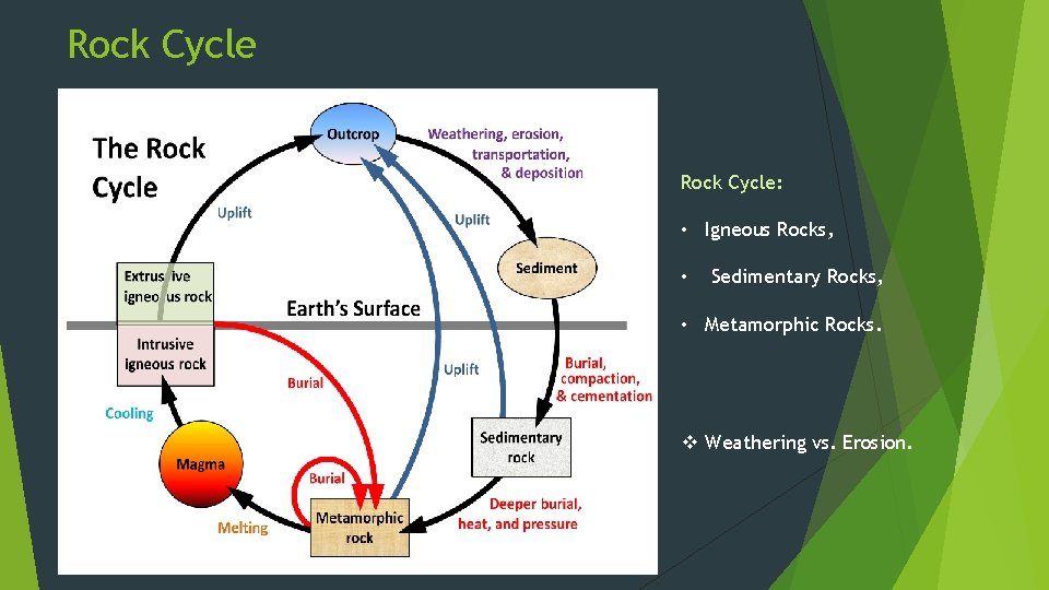 Rock Cycle: • Igneous Rocks, • Sedimentary Rocks, • Metamorphic Rocks. v Weathering vs.