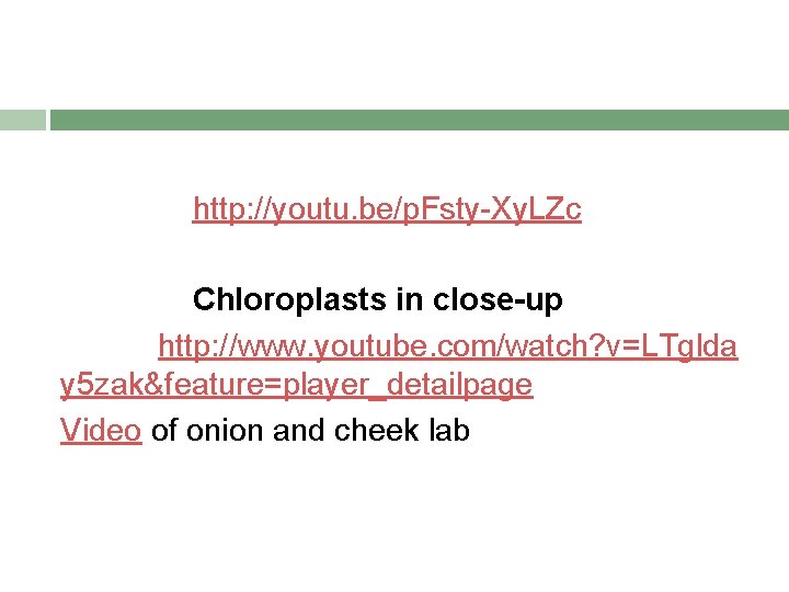 http: //youtu. be/p. Fsty-Xy. LZc Chloroplasts in close-up http: //www. youtube. com/watch? v=LTglda y