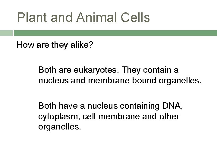 Plant and Animal Cells How are they alike? Both are eukaryotes. They contain a