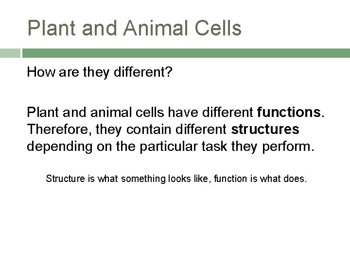 Plant and Animal Cells How are they different? Plant and animal cells have different