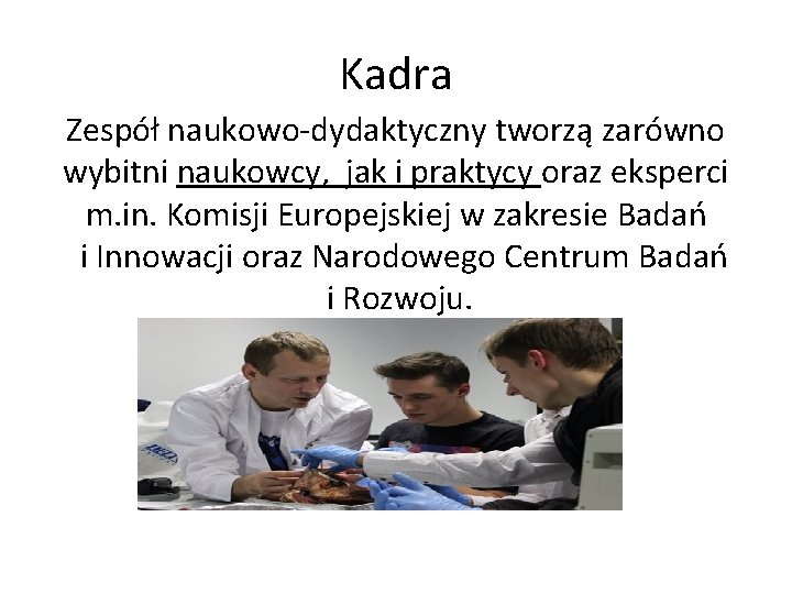 Kadra Zespół naukowo-dydaktyczny tworzą zarówno wybitni naukowcy, jak i praktycy oraz eksperci m. in.