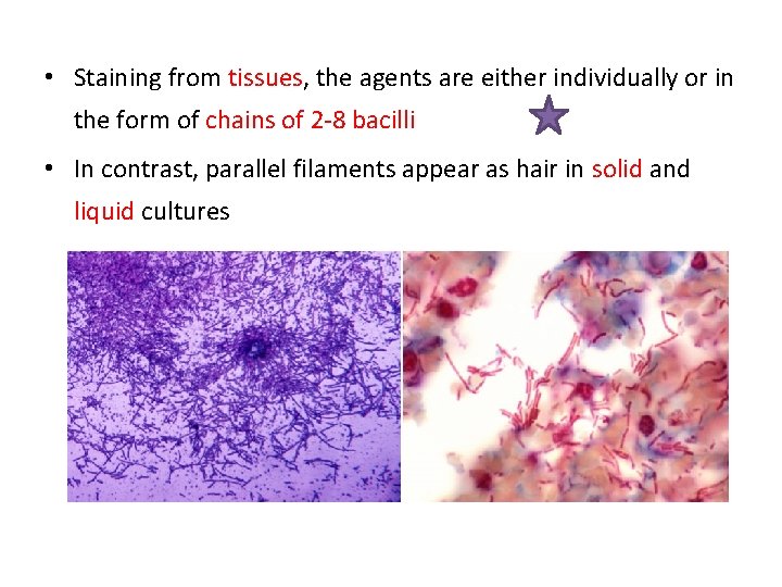  • Staining from tissues, the agents are either individually or in the form