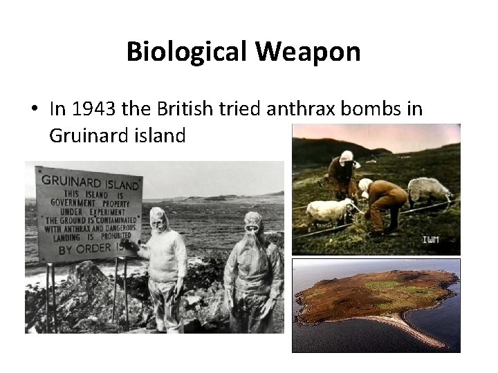 Biological Weapon • In 1943 the British tried anthrax bombs in Gruinard island 