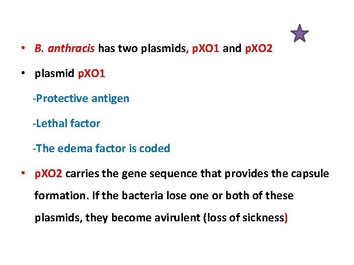  • B. anthracis has two plasmids, p. XO 1 and p. XO 2
