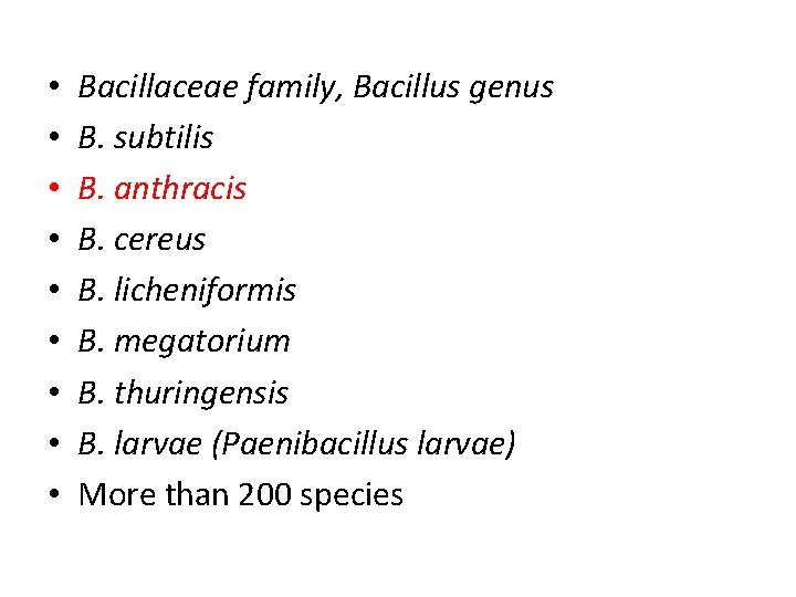  • • • Bacillaceae family, Bacillus genus B. subtilis B. anthracis B. cereus