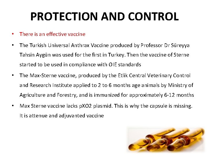 PROTECTION AND CONTROL • There is an effective vaccine • The Turkish Universal Anthrax