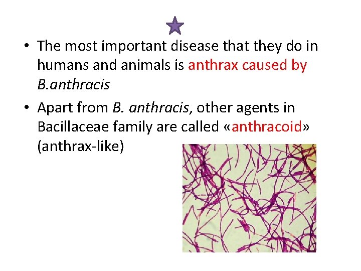  • The most important disease that they do in humans and animals is