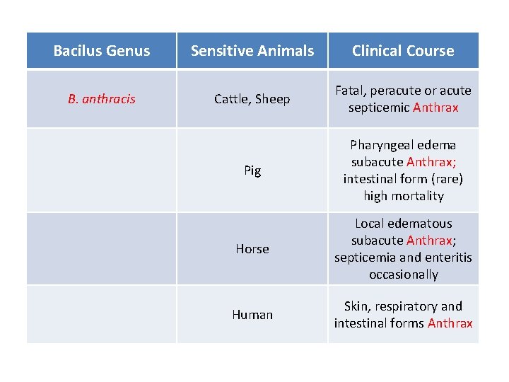 Bacilus Genus Sensitive Animals Clinical Course B. anthracis Cattle, Sheep Fatal, peracute or acute