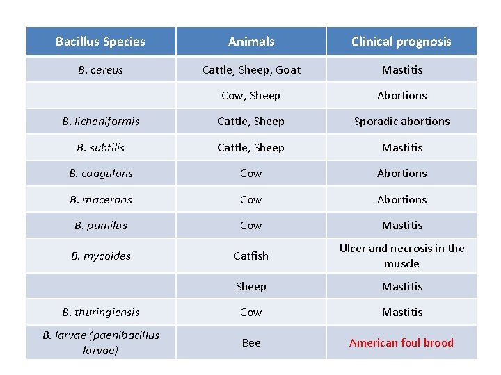Bacillus Species Animals Clinical prognosis B. cereus Cattle, Sheep, Goat Mastitis Cow, Sheep Abortions