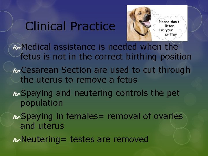 Clinical Practice Medical assistance is needed when the fetus is not in the correct