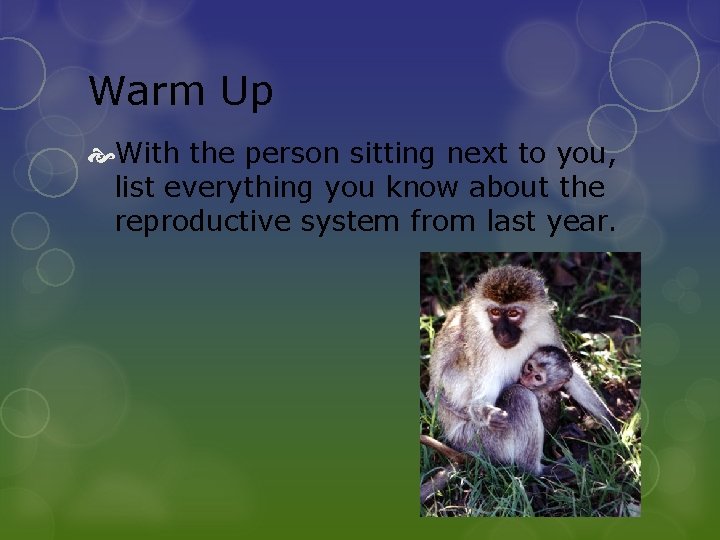 Warm Up With the person sitting next to you, list everything you know about
