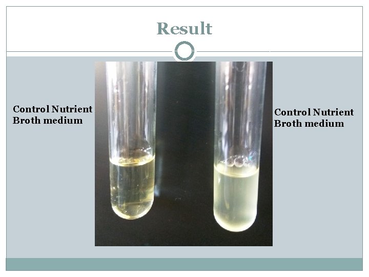 Result Control Nutrient Broth medium 