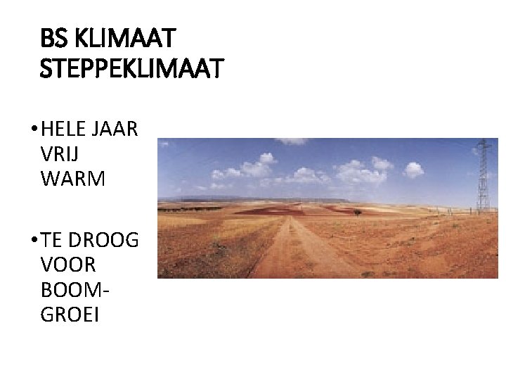 BS KLIMAAT STEPPEKLIMAAT • HELE JAAR VRIJ WARM • TE DROOG VOOR BOOMGROEI 