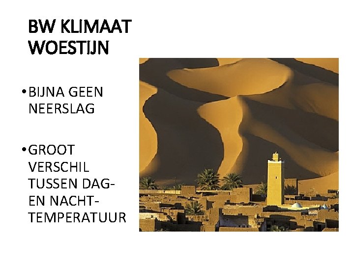 BW KLIMAAT WOESTIJN • BIJNA GEEN NEERSLAG • GROOT VERSCHIL TUSSEN DAGEN NACHTTEMPERATUUR 