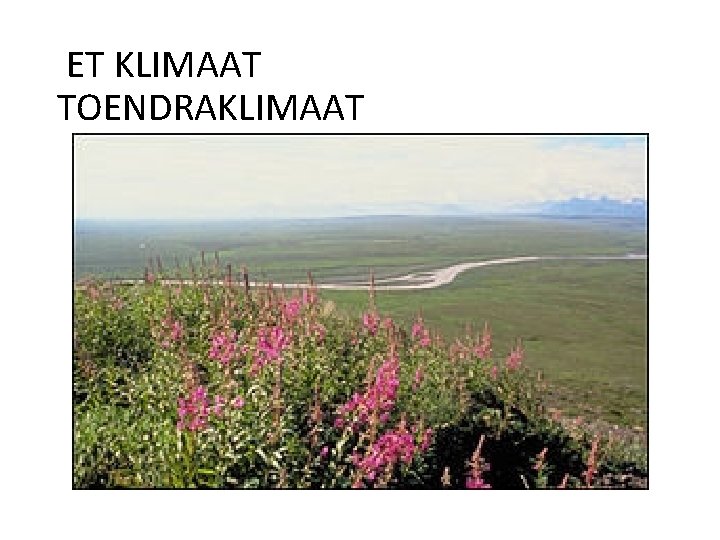 ET KLIMAAT TOENDRAKLIMAAT 