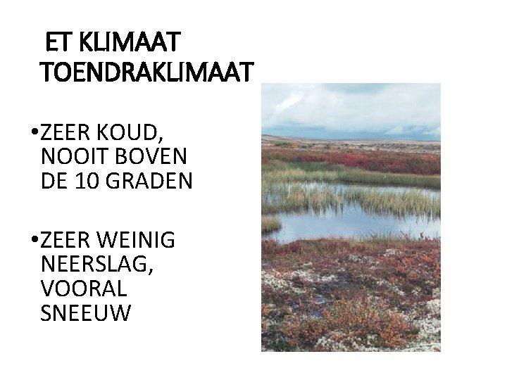 ET KLIMAAT TOENDRAKLIMAAT • ZEER KOUD, NOOIT BOVEN DE 10 GRADEN • ZEER WEINIG