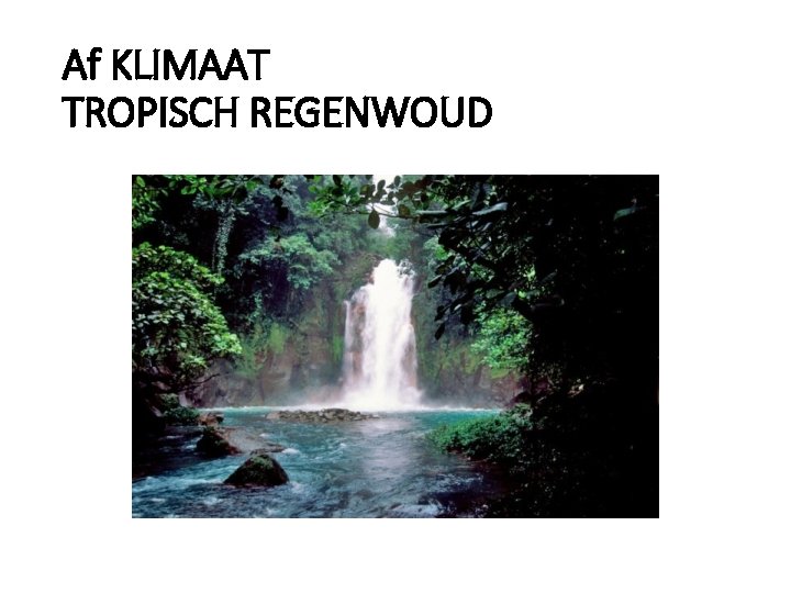 Af KLIMAAT TROPISCH REGENWOUD 