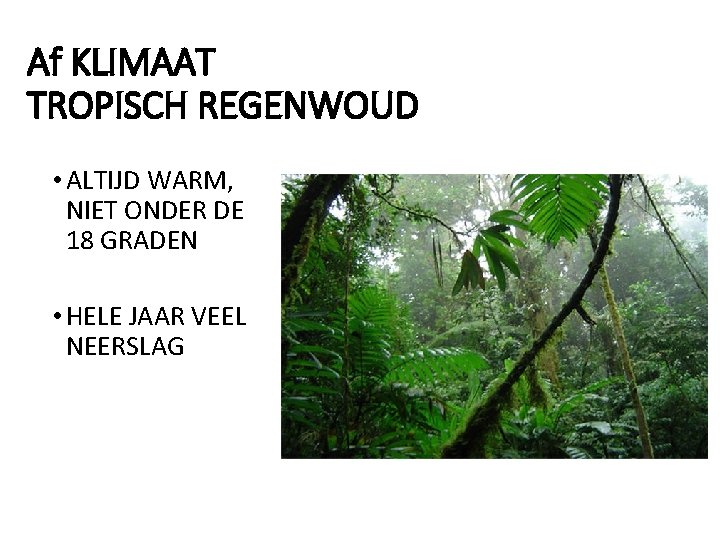 Af KLIMAAT TROPISCH REGENWOUD • ALTIJD WARM, NIET ONDER DE 18 GRADEN • HELE