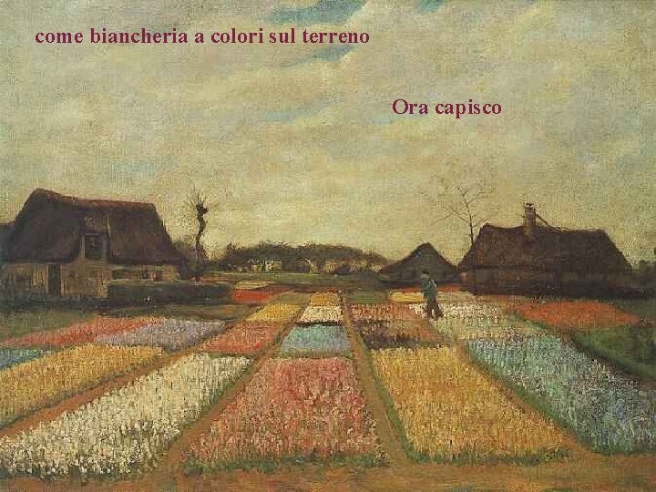 come biancheria a colori sul terreno Ora capisco 