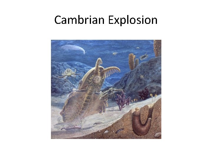 Cambrian Explosion 